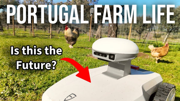 Välkommen till säsong 6 av Portugal Farm Life! 🌿 Recension av robotgräsklipparen FR4000!